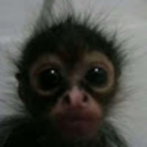 Meet your Posher, Billy